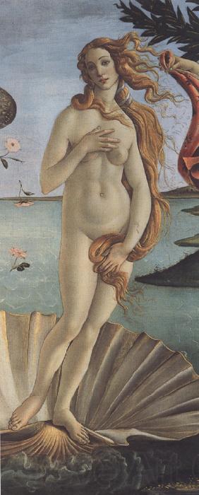 Sandro Botticelli The Birth of Venus (mk36) France oil painting art